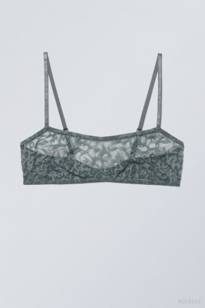 Weekday Ash Lace Semi Scooped Bra Bra Grey | LAYA5476