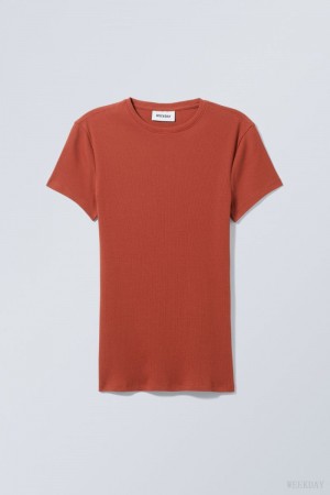 Weekday Close Fitted Rib T-Shirt Dark Orange | KKKZ8222