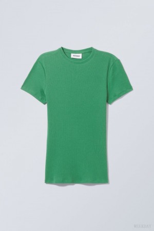 Weekday Close Fitted Rib T-Shirt Turquoise Green | PLSA4651