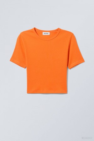 Weekday Mini Rib Crop Top Orange | DNME8505