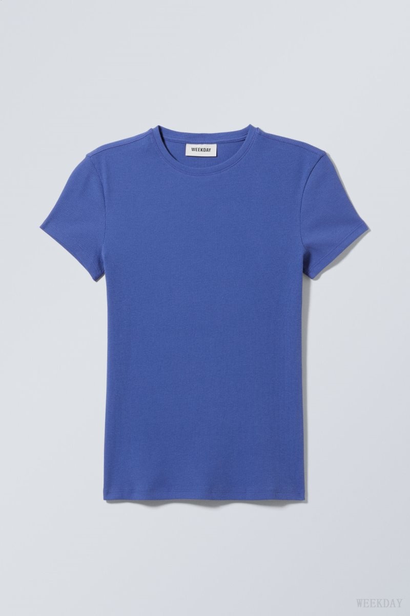 Weekday Close Fitted Rib T-Shirt Deep Blue | VVYQ8590