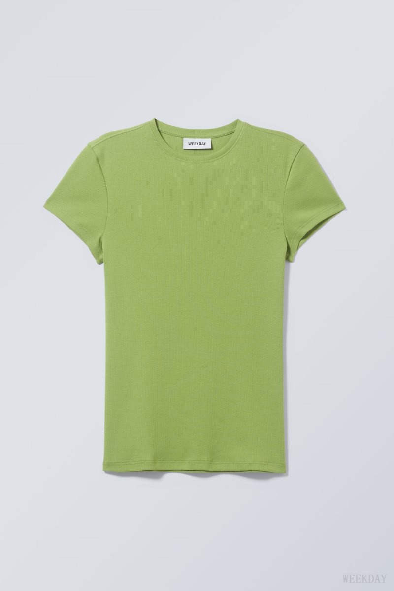 Weekday Close Fitted Rib T-Shirt Green | DOWY3374