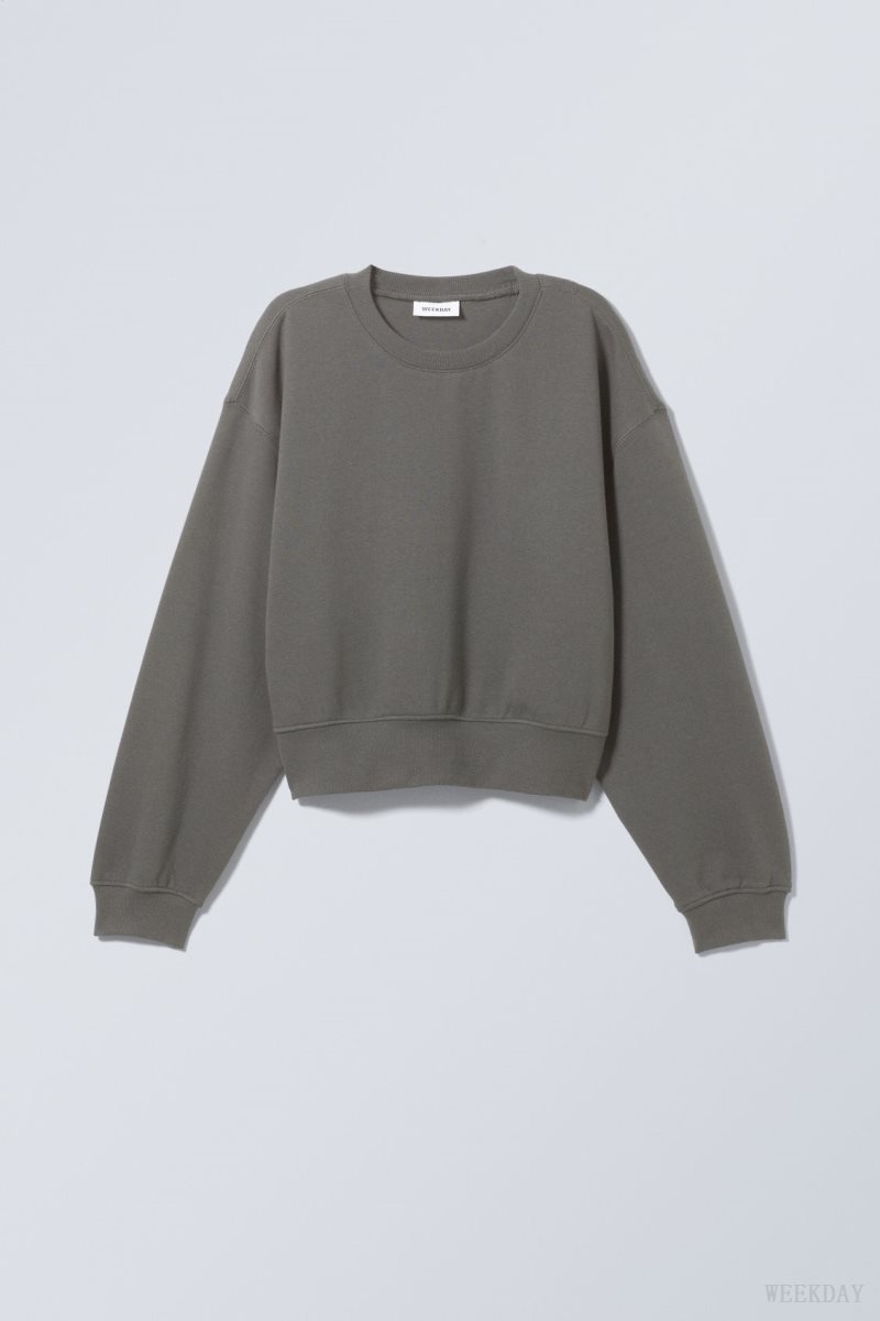 Weekday Crop Volume Sweatshirt Dark Grey | GZYB6121