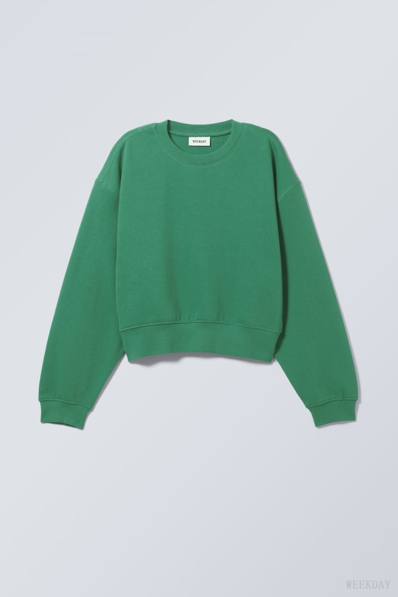 Weekday Crop Volume Sweatshirt Green | ZTVV3336