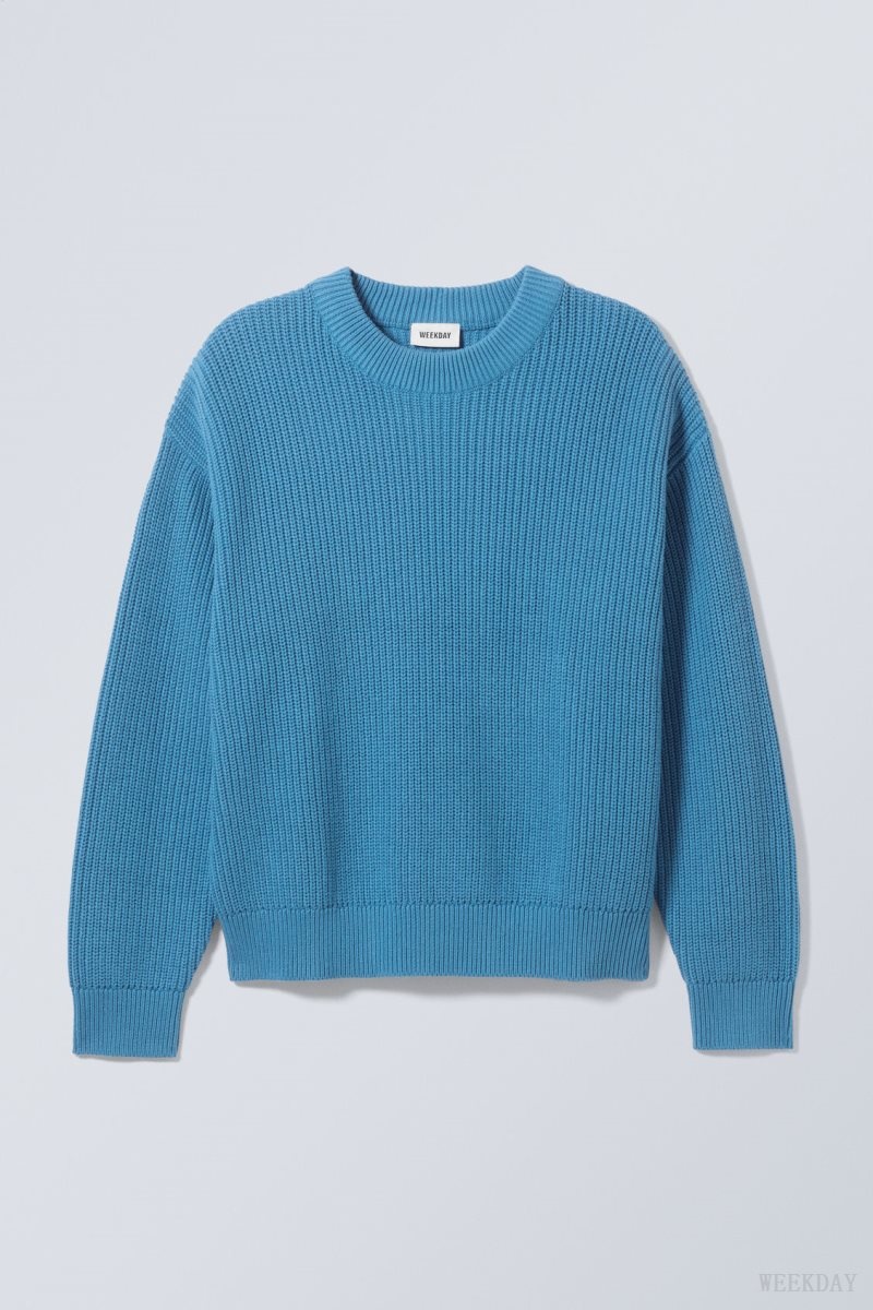 Weekday Daniel Regular Sweatshirt Light Blue | BCOS9862