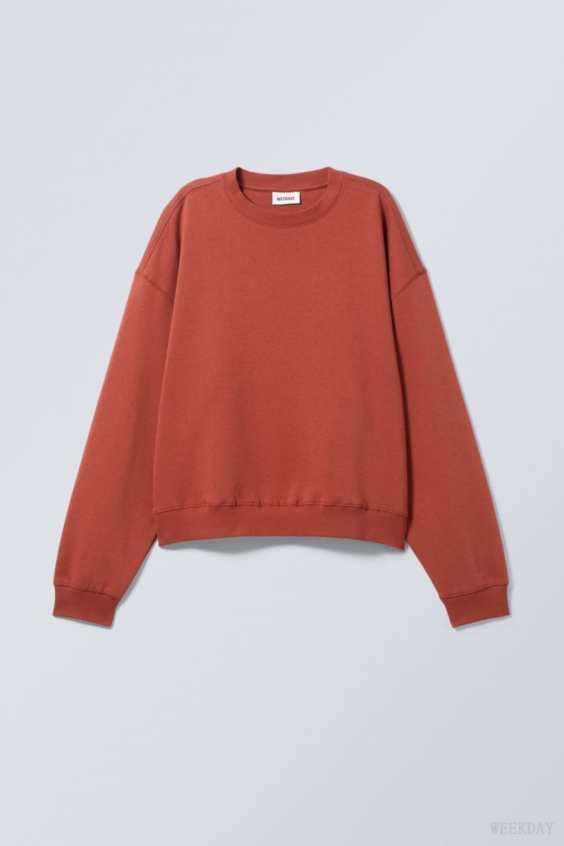 Weekday Essence Standard Sweatshirt Burgundy | DPCD8958