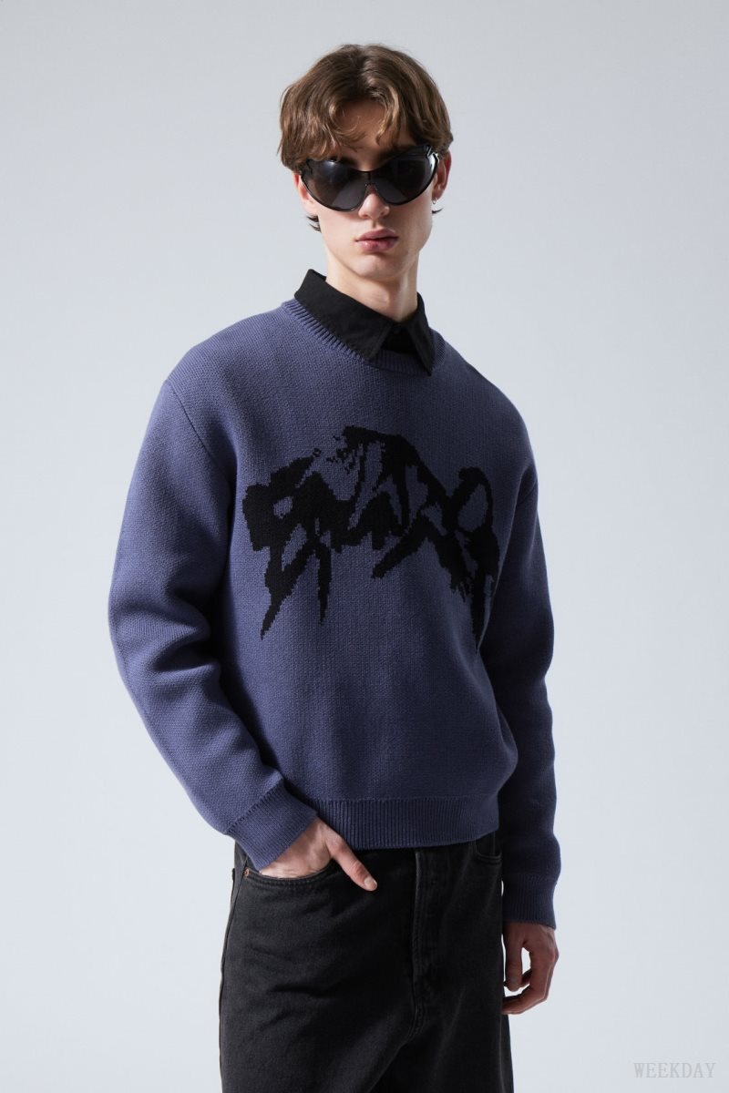 Weekday Fabian Graphic Sweater Blue | WSQQ6841