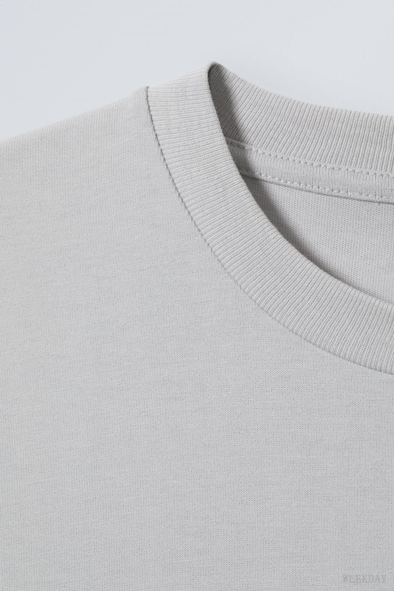 Weekday Great Boxy Heavyweight T-Shirt Light Grey | MLEZ6912