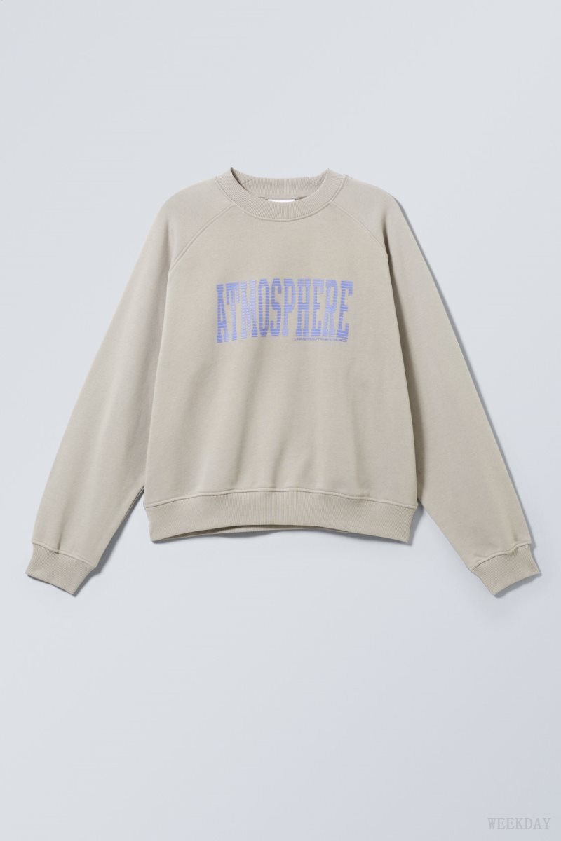 Weekday Regular Raglan Graphic Sweatshirt Atmosphere Dusty Mole | WRPD0534