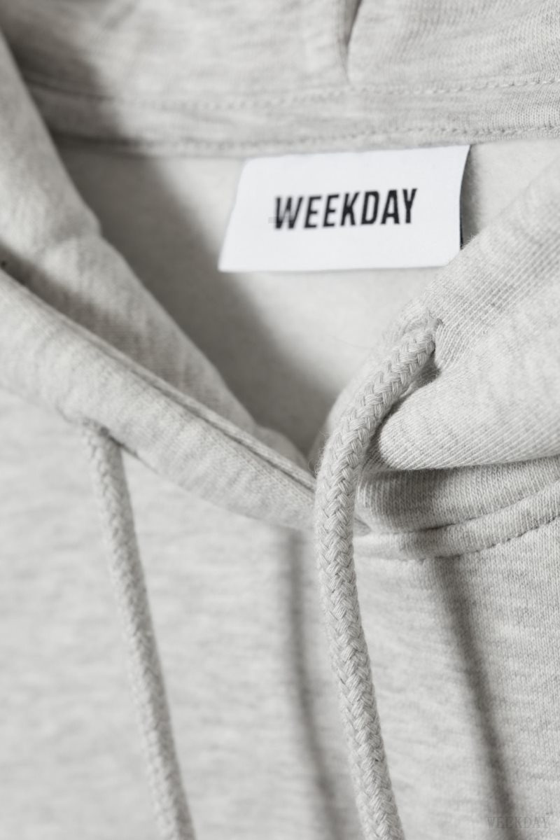 Weekday Relaxed Heavy Hoodie Grey | MYPA0474